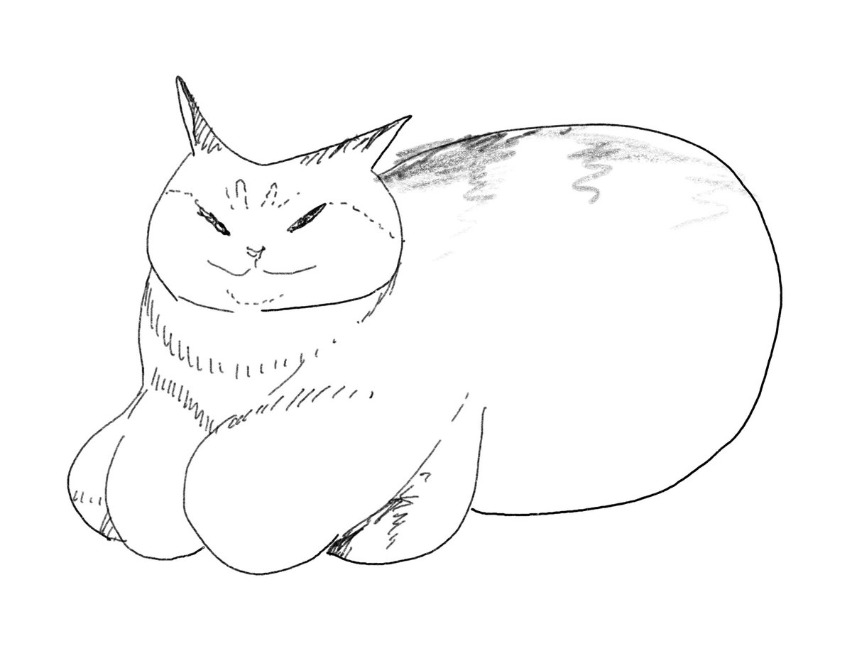 巨乳のキジトラ 