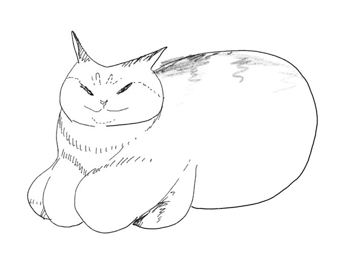 巨乳のキジトラ 