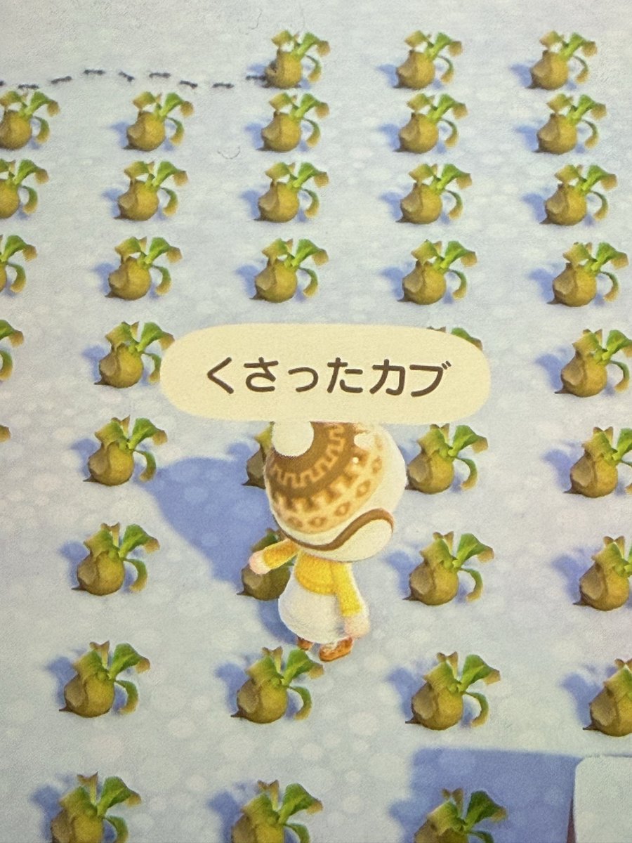 very_janee's tweet photo. 終わった…

#あつ森 https://t.co/ibtObVPSgA