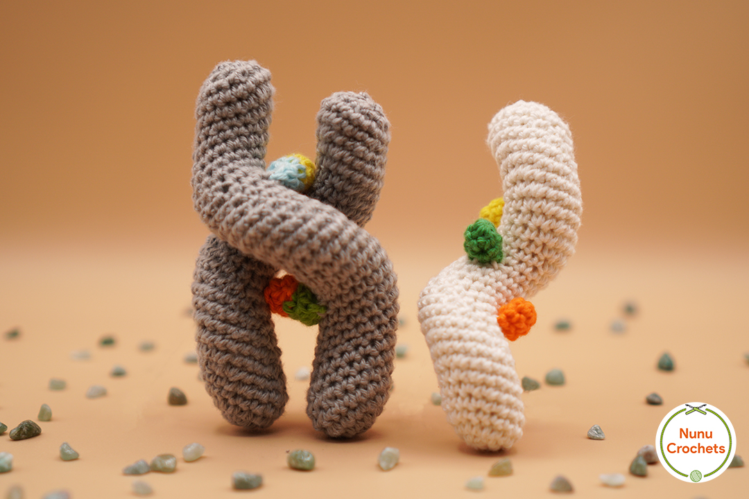 NunuCrochets's tweet photo. Here is the pattern for my nucleic acids!! The no sew pattern includes both the DNA and the RNA molecules. I have pictured the codon for the start of all proteins, but you can personalize it and choose another one. The pattern is available at the link in my bio. Hope you like it! https://t.co/QQfJCEOTCp