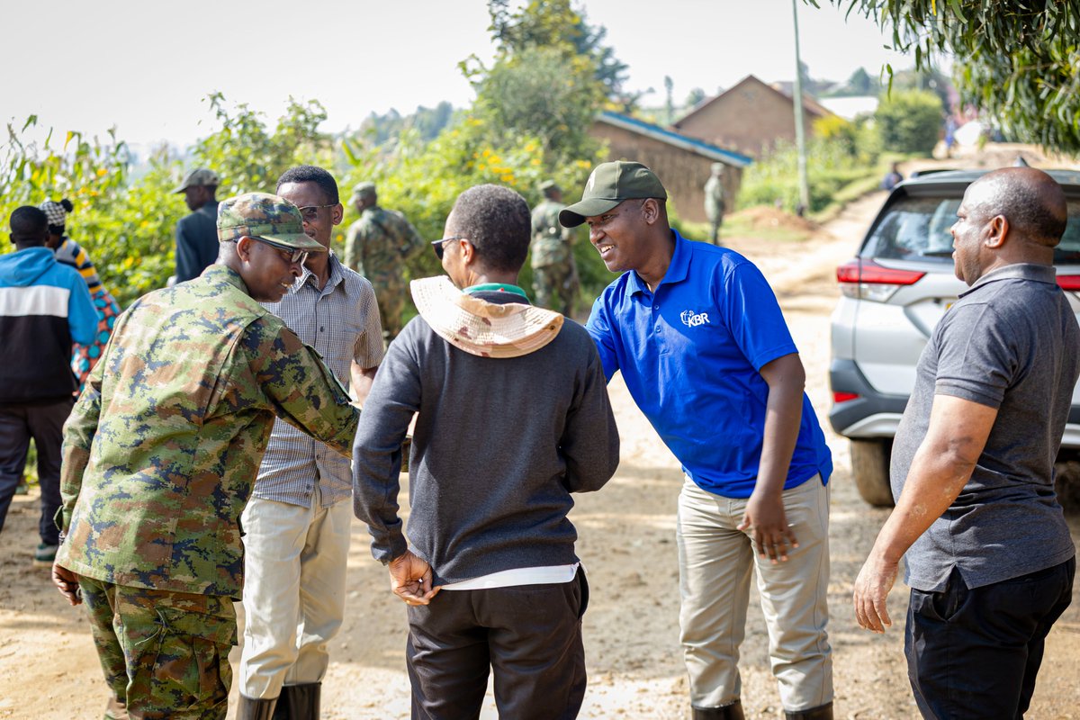 Silverback Tea tweet media