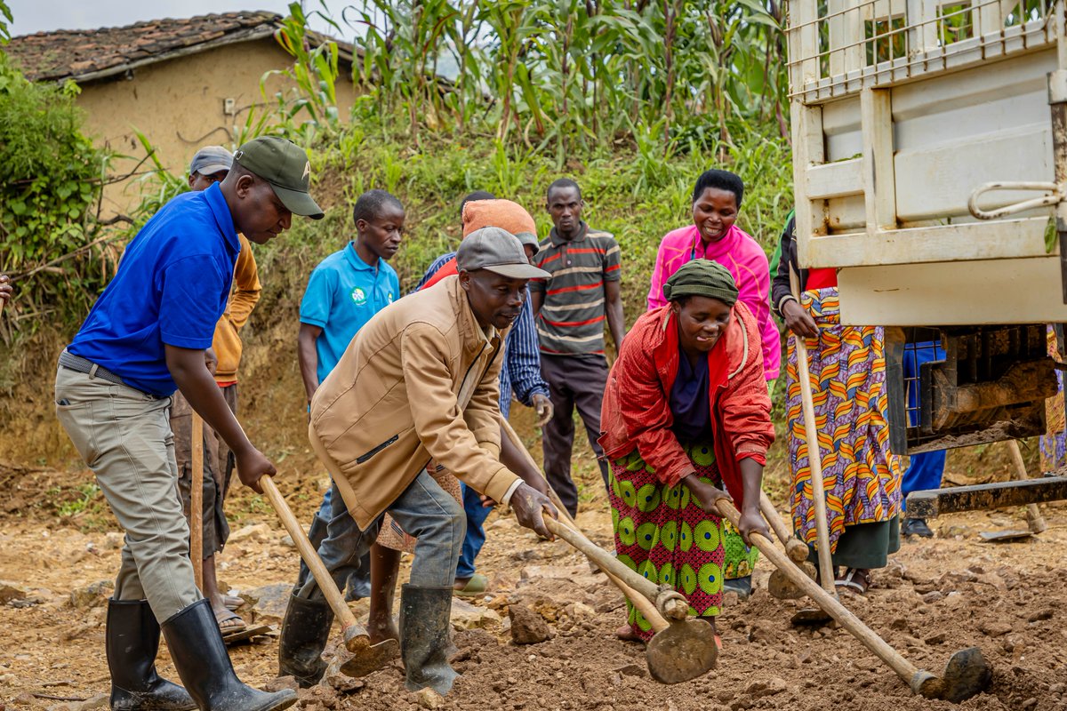 Silverback Tea tweet media