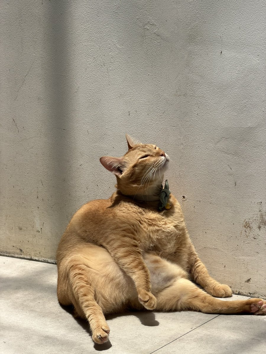 kangen kamu yang, gimana kabarnya?