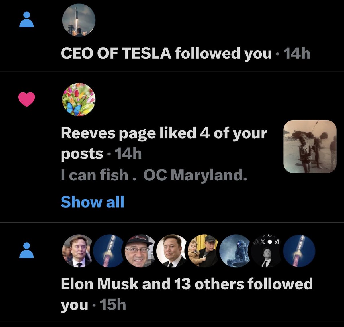 cabinposh's tweet photo. Dear Diary,  

X is being invaded by too many 
Elon Musky’s. 

I don’t want to pull my beautiful hair
out.   

Help !    Make it stop 🛑 https://t.co/bJ39BEL6Ut