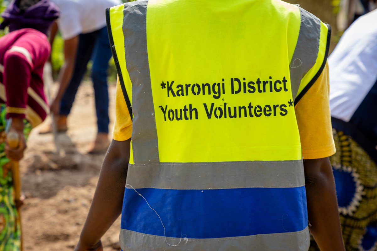 Silverback Tea tweet media