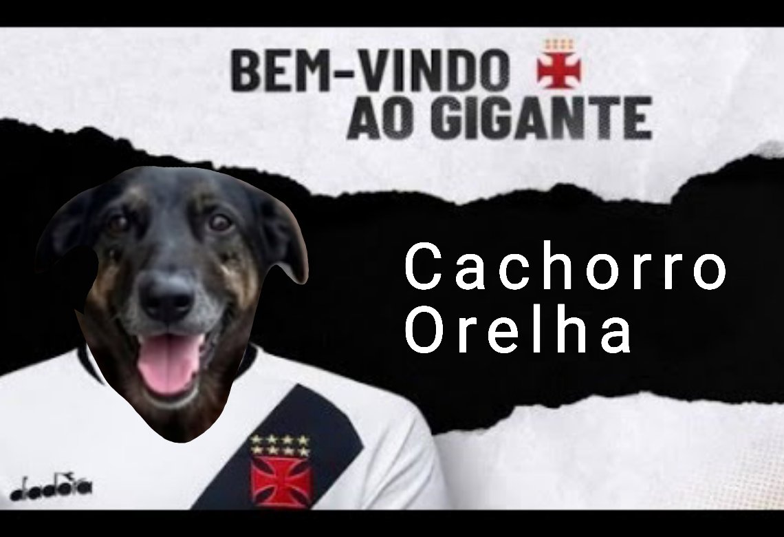 Foi só vazar os documentos do Epstein que geral começou a cagar pra esse cachorro orelha kkkkkkkkkkkkkkkkk