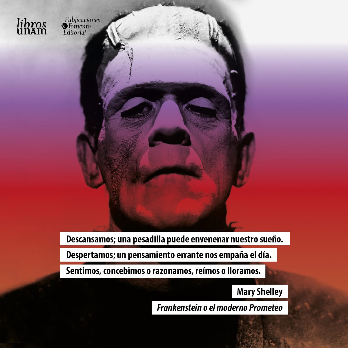 Libros UNAM tweet media