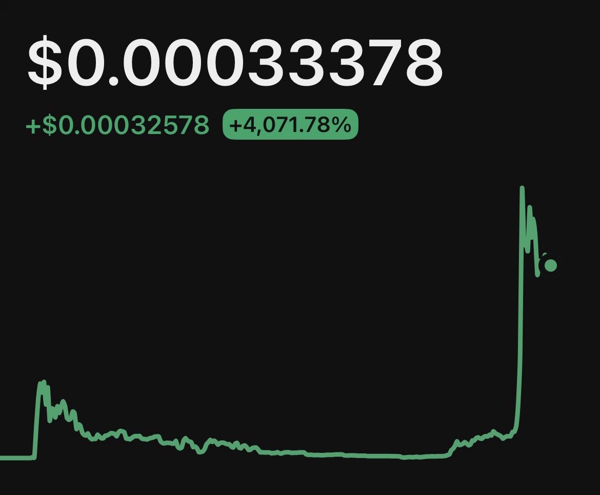 35x in 2 days? In this market? I missed gambling