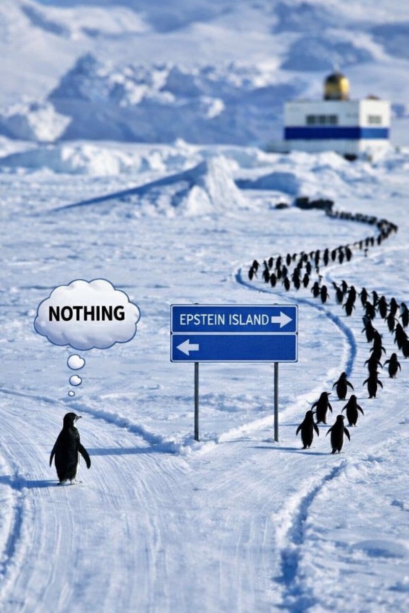 SIGMA_BOY tweet media