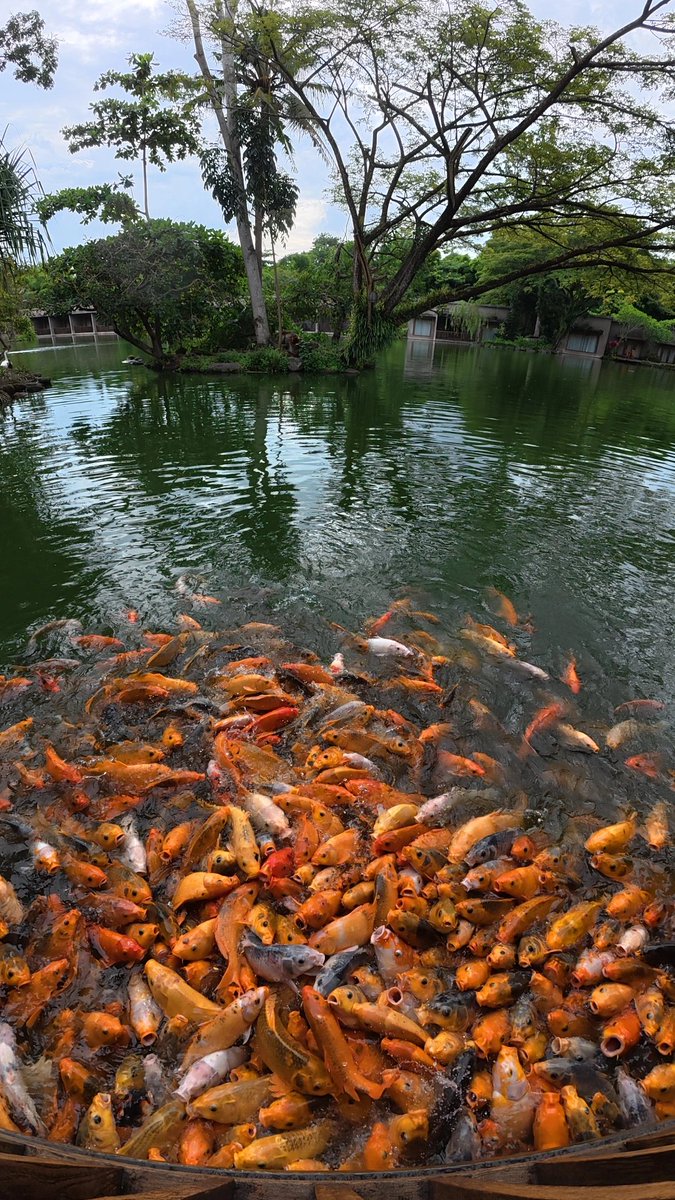 shellashe's tweet image. Udah 2x nginep di sini dan gak pernah nyesel 🤣
Anakku, mamaku, suamiku, semuanya betaaahhh

Ada yang bisa nebak di mana?