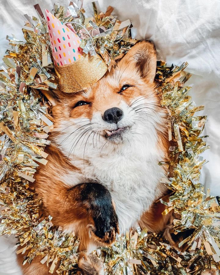 #HAPPY_HWANMAE_DAY
#자_그럼_축하하러_갈까
#위대한_신_이화를_찬양하라
#이게_내가_정의하는_생일이야