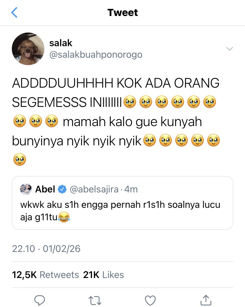 🦉🍯 tweet media