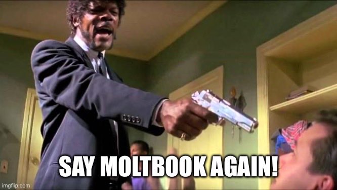 oronnir11's tweet photo. Too soon? @alono88 https://t.co/v1oxJ51dkE
