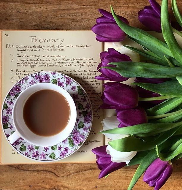 LindaMahkovec's tweet photo. The Notebooks of Honora Gorman: Fairytales, Whimsy, and Wonder - https://t.co/QztGDA4FCR - #booklovers #FeelGoodBooks #UpliftingBooks #BookishComfort #HyggeReads #PeacefulReads #SlowLiving
"This book has become a small obsession, it generates happiness in me." -reader https://t.co/Kmzj6BGK2E