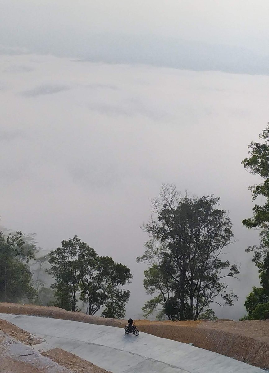 Riding to Live tweet media