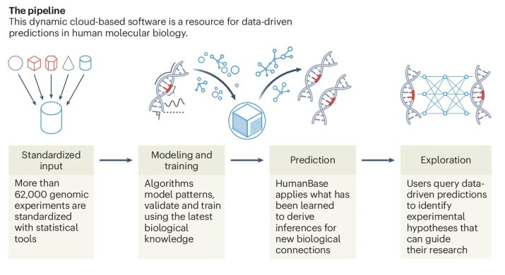 tangming2005's tweet photo. HumanBase: an interactive AI platform for human biology  https://t.co/vlIwE33K8t https://t.co/EUzS8nXzzY