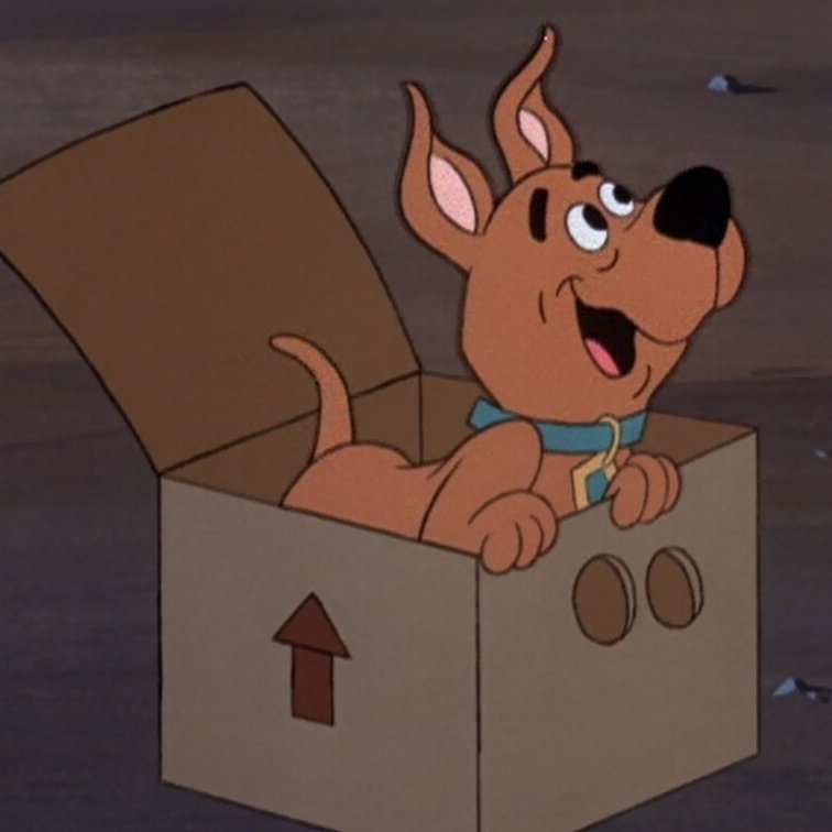 WendyLovesJesus's tweet photo. Happy #OptimistDay! I'm optimistic that no one can totally resist these adorable pictures of Scrappy-Doo. 🥰 #ScoobyDoo https://t.co/mVKXiX7eSj