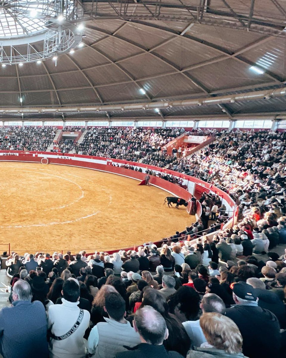Plaza de Toros La Flecha tweet media