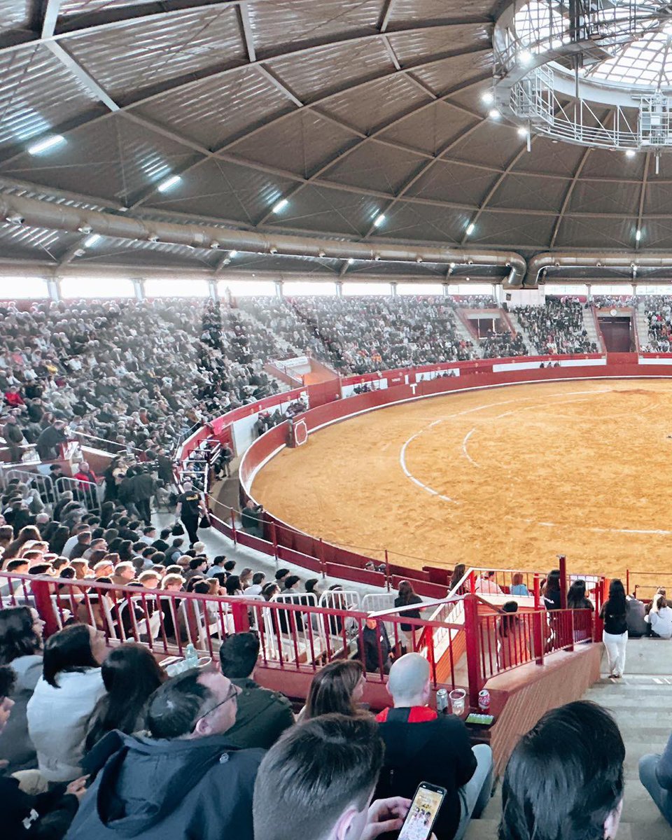 Plaza de Toros La Flecha tweet media