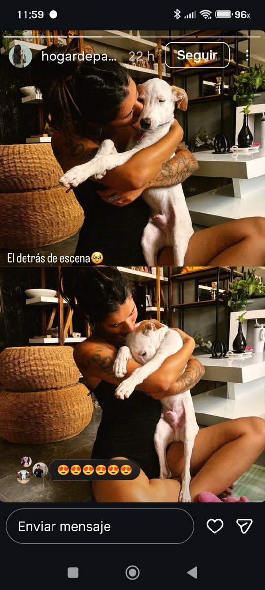 balcanizada's tweet photo. Mensaje del abogado de Fénix: no nos olvidemos de su caso. https://t.co/LSNmrEFkpj