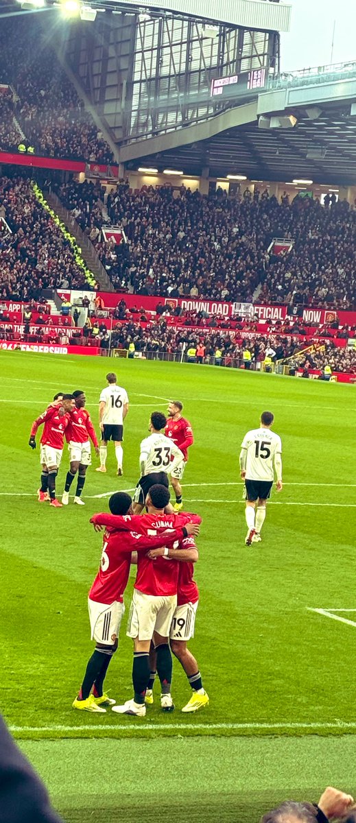 𝔻𝕚𝕡𝕤 tweet media