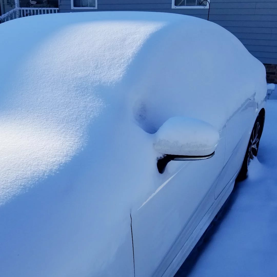 DavidNews2U's tweet photo. Winter wonderland in southeast Florence.

@jamiearnoldWMBF  @AndrewWMBF @jgreenhillwx @EdPiotrowski @ScottyPowellWX https://t.co/GDkfyC2EbL