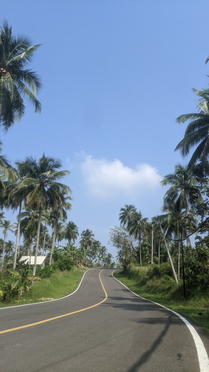 Riding to Live tweet media