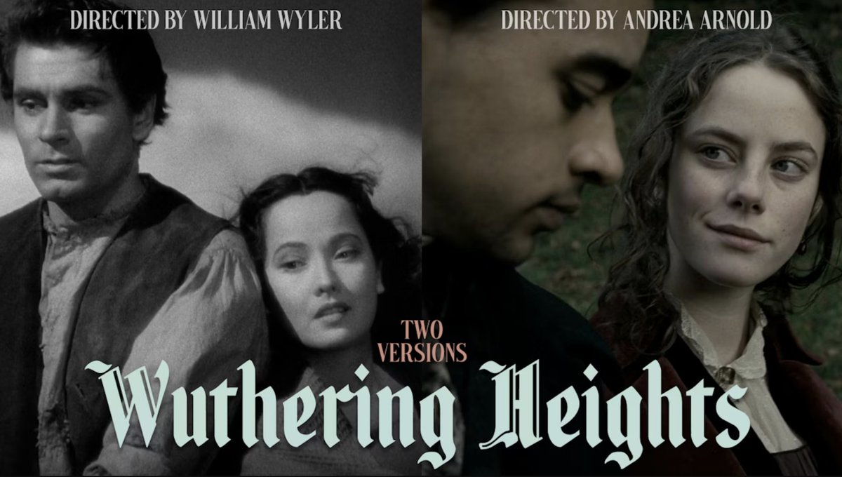 Criterion Collection tweet media