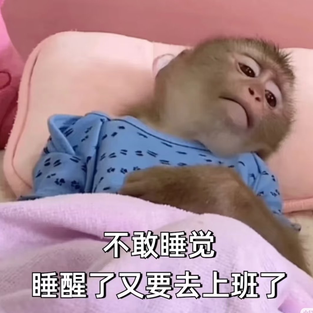 周日总给我一种很亏的感觉，干什么都很亏，出去玩会累很亏，不出去很亏，早睡很亏，熬夜也很亏。周日不像周五那么让人安心，也不像周六让人那么快乐，也不像周一让人那么反感，总之不好说。

天呐，终于有人说出我对周日的感受了🤗