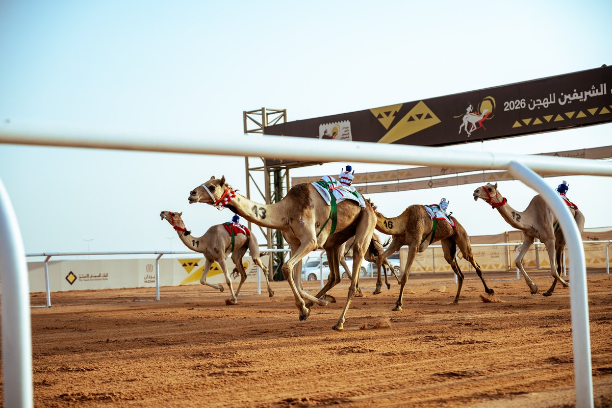 مهرجان خادم الحرمين الشريفين للهجن tweet media
