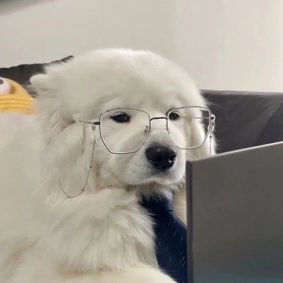 เจโน่ที่รับตำแหน่ง data analysis กำลังดำเนินการเก็บข้อมูลพวกมัมหมีที่ล้อว่าโน่อ้วน