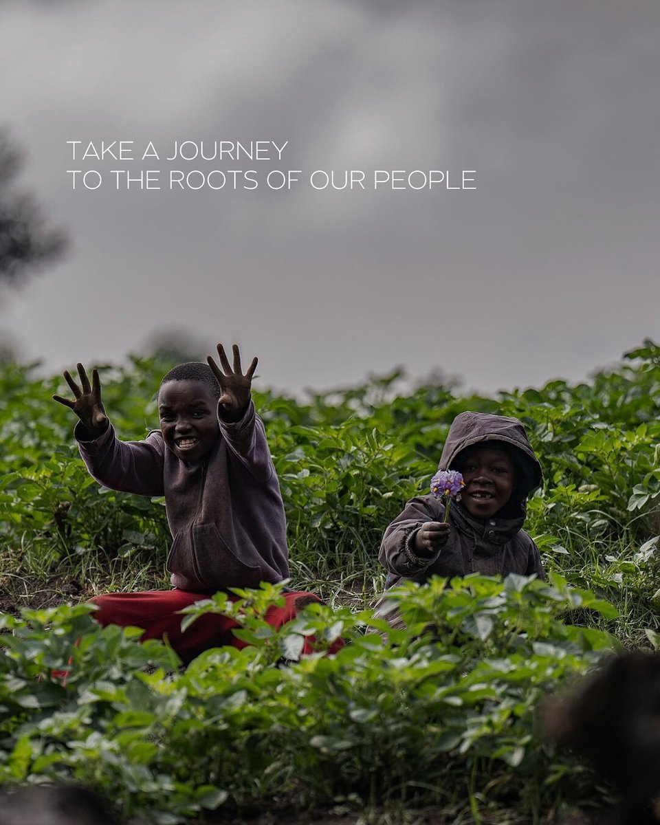 Amazing Life Safaris tweet media