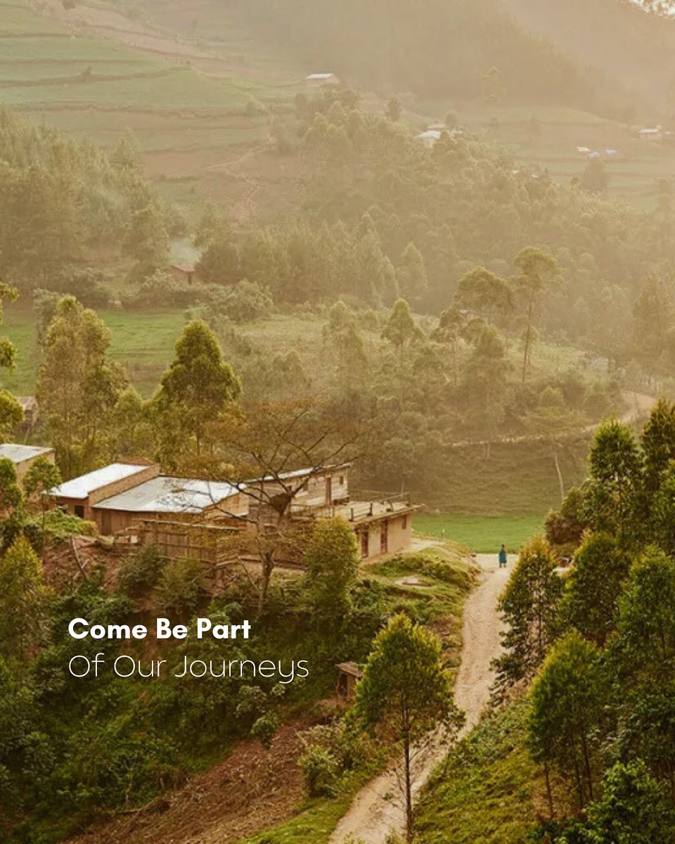 Amazing Life Safaris tweet media