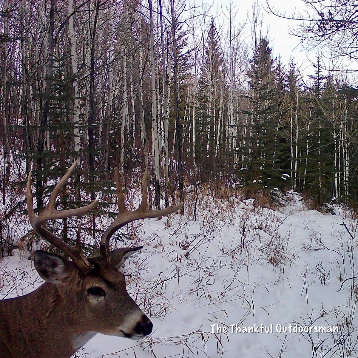 Checking out the camera