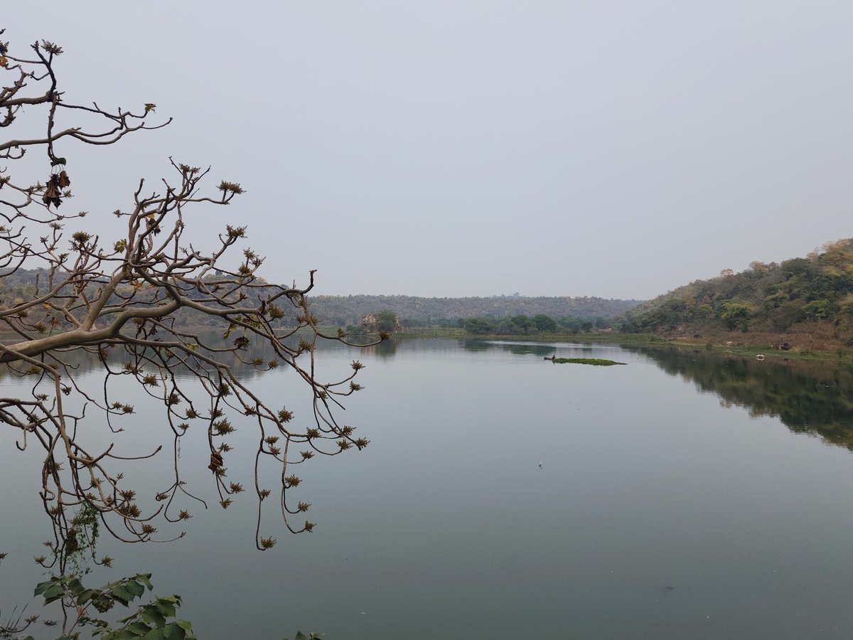 ATULKUTAR's tweet photo. गुलिस्ताँ ✨ https://t.co/aif1UroUCb