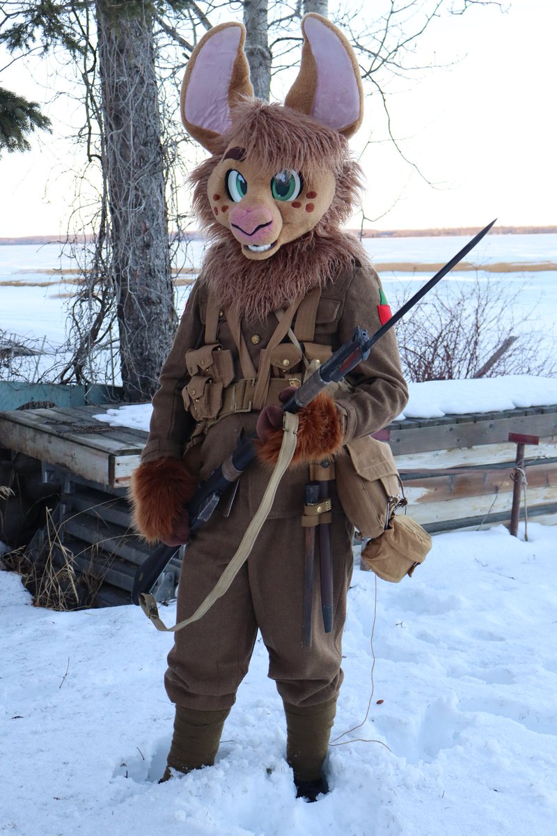 Carth the Llama tweet media