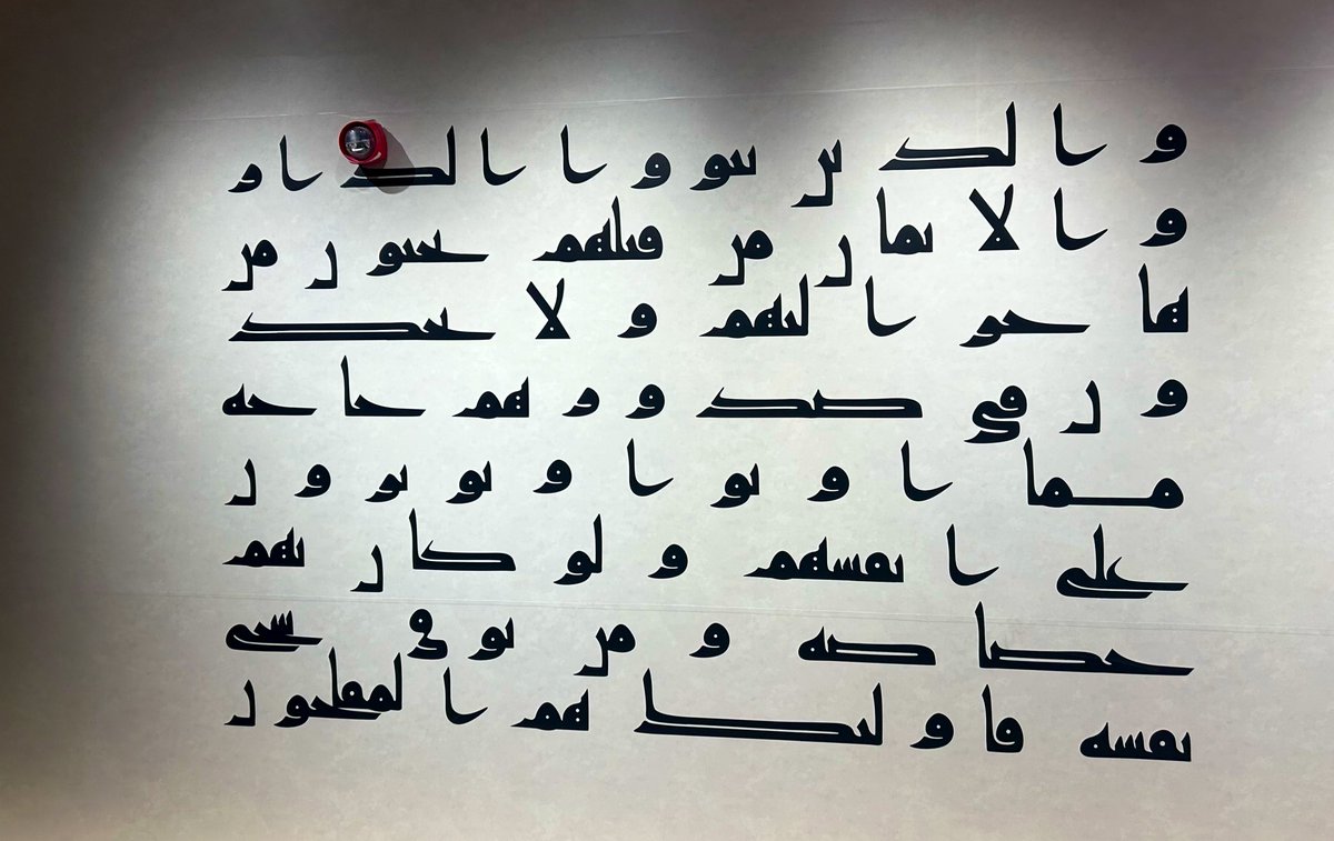 SHURUQ|شروق tweet media