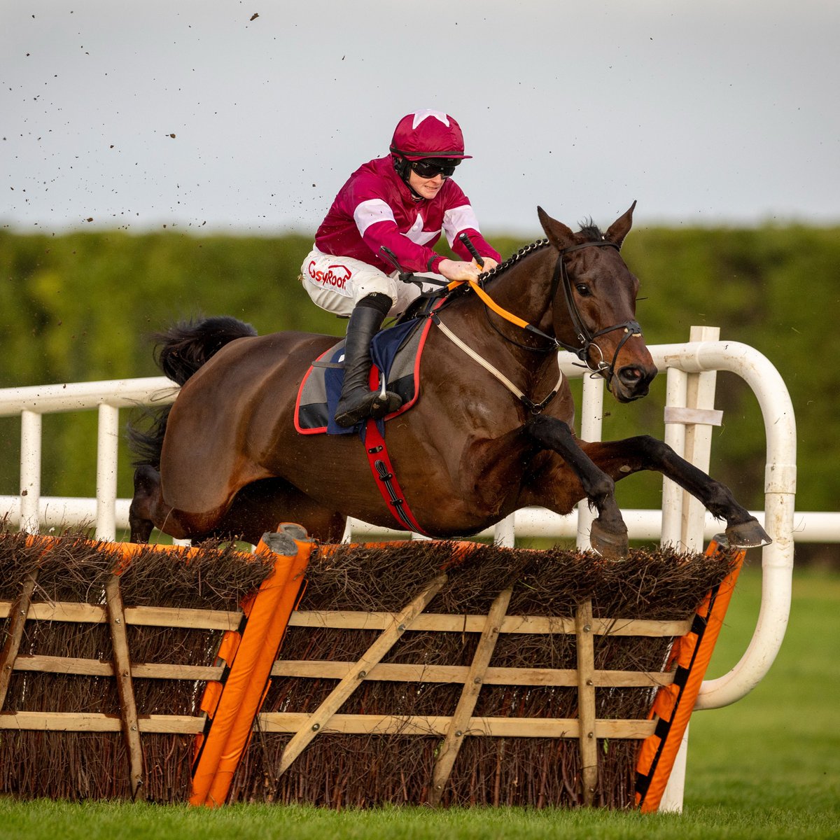 Racing Post tweet media