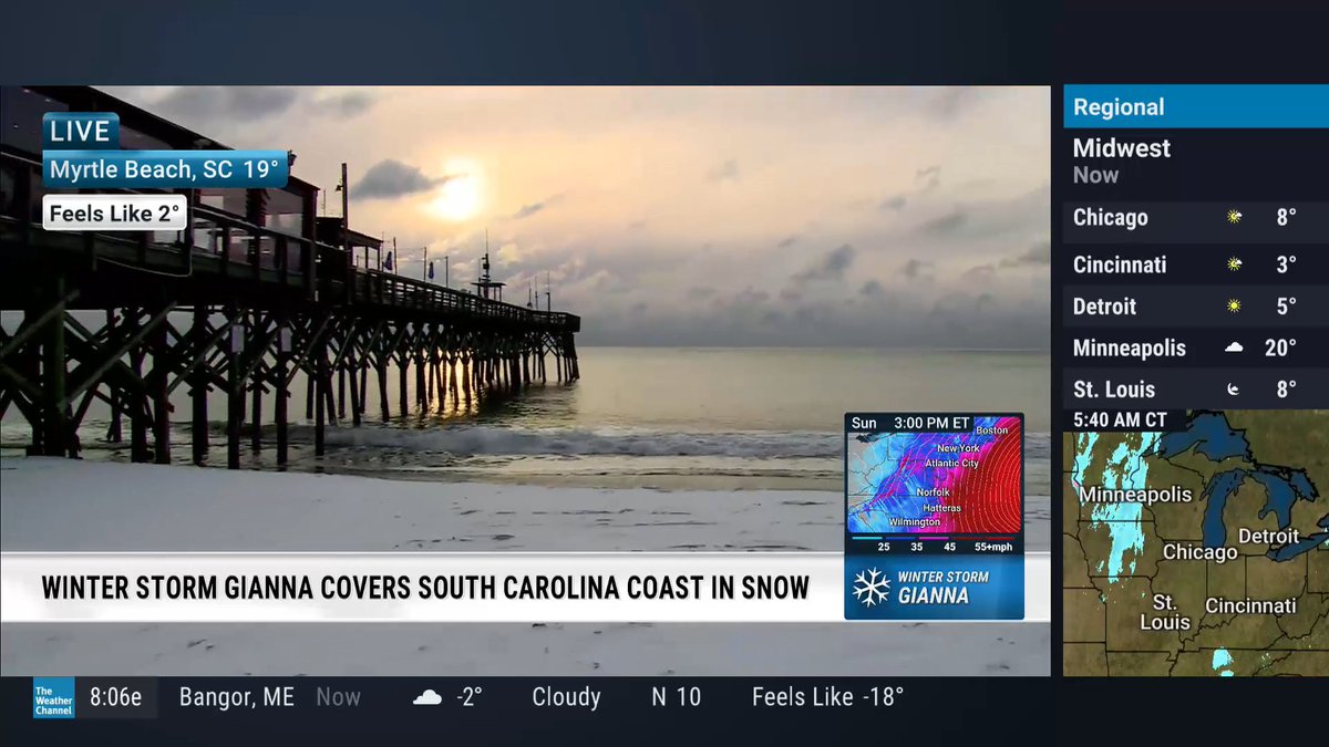 Veronica Dolan tweet media