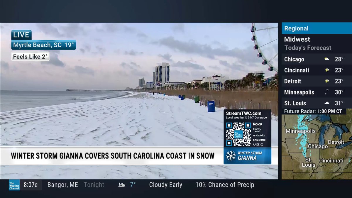 Veronica Dolan tweet media