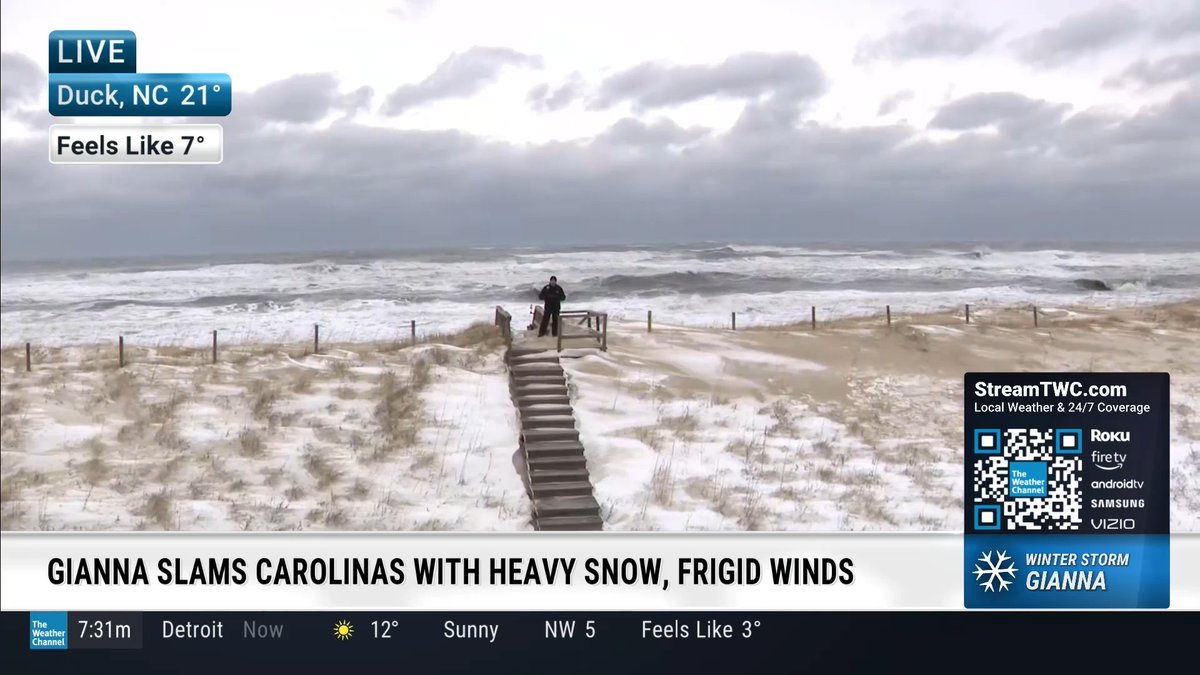 Veronica Dolan tweet media