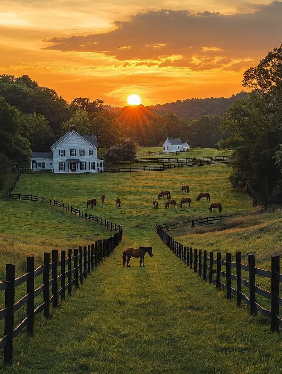 The goal is always honouring God, building a family, and buying land.