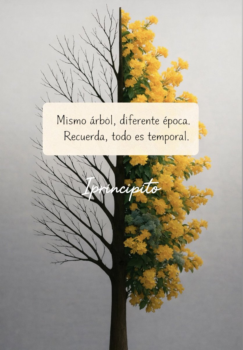 iPrincipito's tweet image. 📩✨