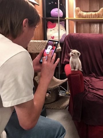 EvalynnPAN's tweet image. ดิชั้นเปนแม่ของแมวตุวนี้เองค่ะ 😭🤏🏻🤏🏻🤏🏻🤏🏻🤏🏻✨✨✨✨✨