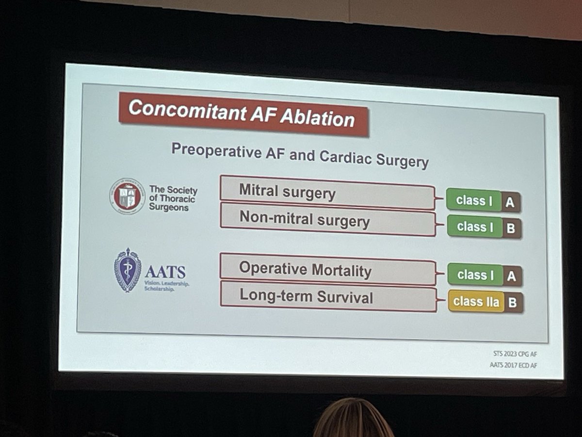 Yara Menassa tweet media
