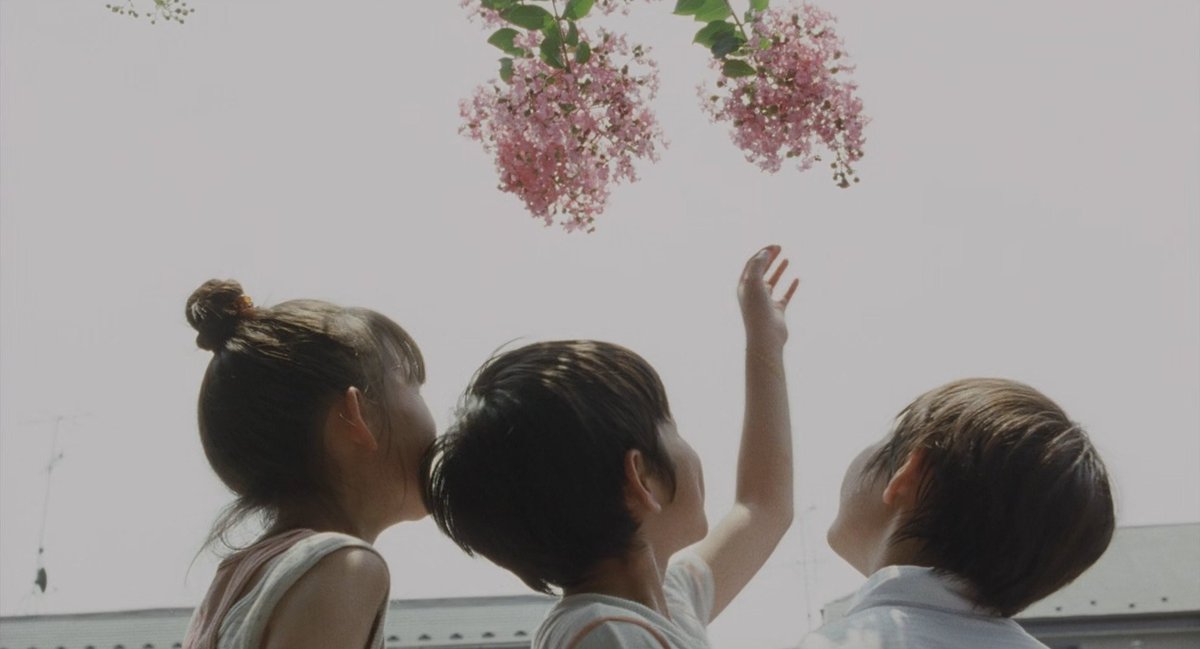 Nicolas Pedrucci tweet media