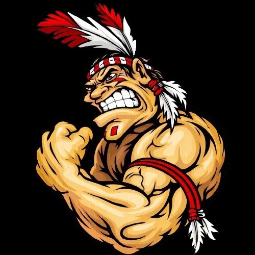Wando Warrior Football tweet media