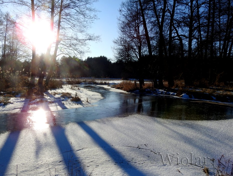Audiografiq's tweet photo. Luty - załóż ciepłe buty.☝️ #Planetapłonie🤭
#Grabia powoli zamarza, brzegi już skute, ale w środkowej części, dotychczas płynnej, widać cienką warstwę budującego się lodu. Na jednym ze zdjęć widać ślady jakiegoś odważnego zwierzątka. Kota(?)🤔😉
#MojeFoto https://t.co/peax2xPqod