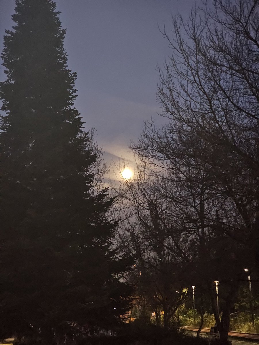 İyi akşamlar 🍀🐞🙋‍♀️