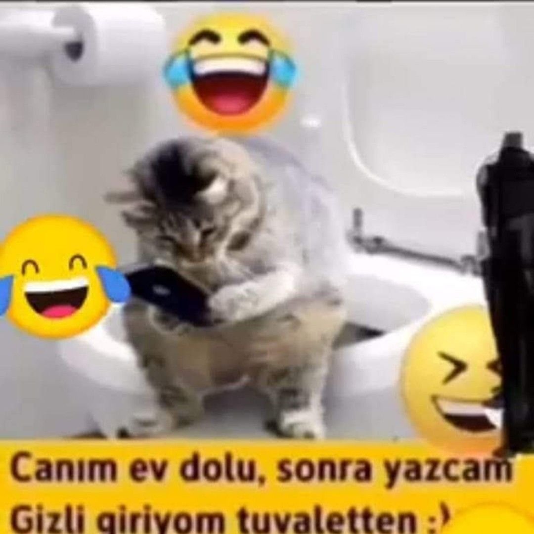 Ben sıkışıp kaldım ne kendimi rezil edebilecek cahillikteyim ne de bu topluma en iyisini vermeye, yapmaya gönlüm var.